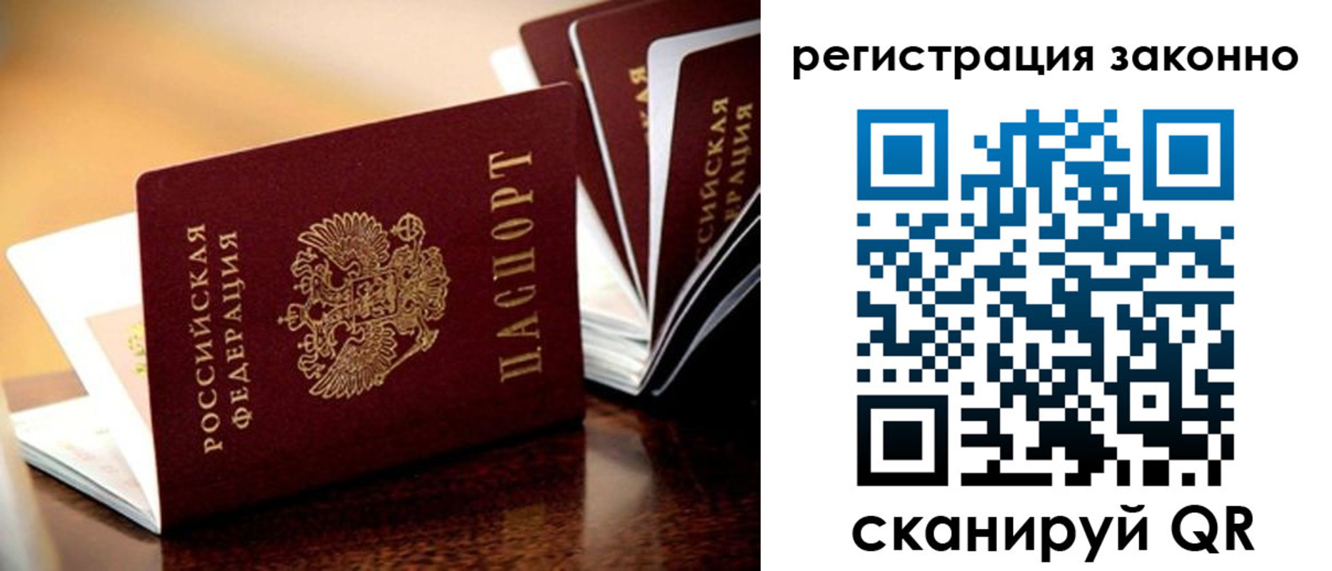 прописка для школы в Сольцах
