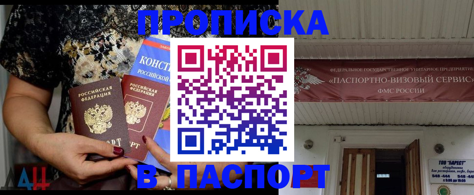 прописка поиск в Сольцах